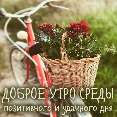 🌺 Со СРЕДОЙ! Осталось два дня продержаться... ⬇  https://supersolnishco.net/60905-so-sredoj-sreda-pozhelaniya-prikoly-dobroe-utro-sreda-kartinki-smeshnye-prikolnye.html  | ВКонтакте