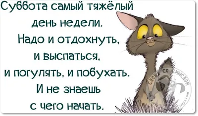 Картинки дни недели суббота с добрым утром прикольные | Субботы, Смешные  высказывания, Рабочий юмор