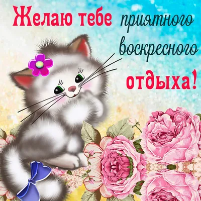 С добрым утром!#видеооткрытка #открыткасдобрымутром#открытка #рекоменд... |  TikTok