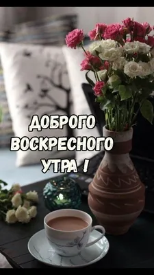 С добрым утром!#видеооткрытка #открыткасдобрымутром#открытка #рекоменд... |  TikTok