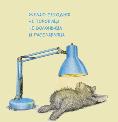 Смешные приколы про котиков для хорошего настроения. | Любимые котики | Дзен