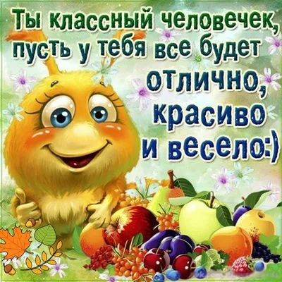 Гусь - лучшие приколы и смешные картинки - Хорошего дня :3 | Facebook