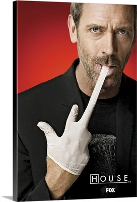 House (TV) (2004) | Dr house, House md, Hugh laurie