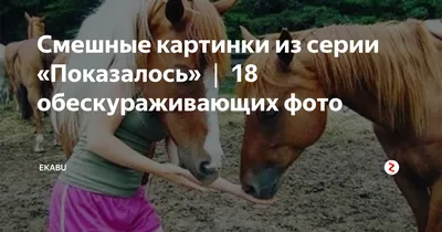 Смешные картинки из серии «Показалось» ❘ 18 обескураживающих фото | Ekabu |  Дзен