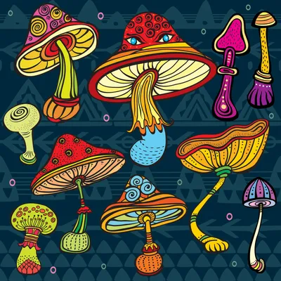 Галлюциногенные грибы рисунки