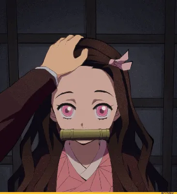 Kamado Nezuko :: Anime Гифки (аниме гифка, аниме гифки, anime gif, anime  gifs) :: Kimetsu no Yaiba :: kamuo :: headpat :: Anime (Аниме) / картинки,  гифки, прикольные комиксы, интересные статьи по теме.