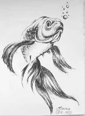 Art, drawing, graphic, illustration, ink, pen, monochrome, fish, рисунок,  графика, иллюстрация, чернила, ручка, м… | Nature art drawings, Fish  drawings, Fish sketch