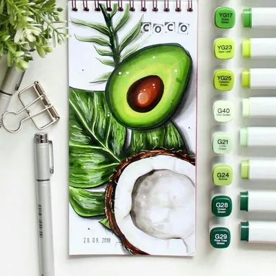 Авокадо и кокос маркерами | Copic marker art, Marker art, Drawings pinterest