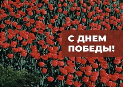 Как нарисовать \"Вечный огонь\" | Просто поделки