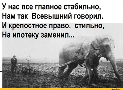 Пользовательский новый дом спасибо винная бутылка этикетка, агент  недвижимости спасибо подарок, первая домашняя покупка, ипотечный кредитор  смешные наклейки | AliExpress