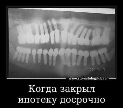 Смешные мемы фразы на каждый день мем с котами подруг переписки с парнем  школа учёба открытка трендс | Смешные мемы, Смешно, Мемы