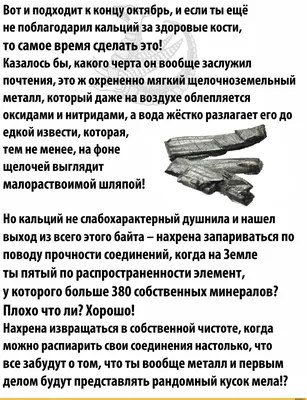 Европейский Поросенок Кабана С Полосками Характерная Черта Поросят Два  Смешных И Симпатичных Поросят — стоковые фотографии и другие картинки  Всеядный - iStock