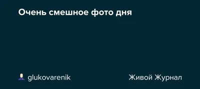 Смешные картинки с надписями и прикольные фото, от которых хочется  улыбнуться