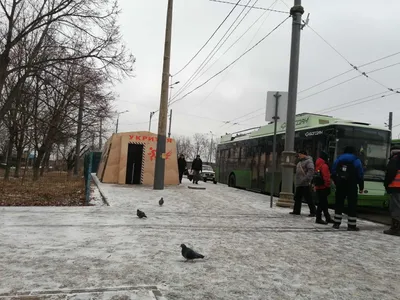 В Югре с 9 по 15 января проходит Неделя продвижения активного образа жизни  | 11.01.2023 | Октябрьское - БезФормата