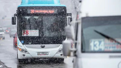 Луна в Скорпионе: не вздумайте делать это 15 января, в самый  непредсказуемый день - KrasnodarMedia.ru