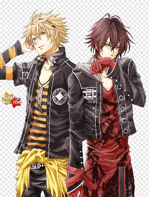 Amnesia Anime Fabric Wall Scroll Poster (16\" x 21\") Inches.[WP] Amnesia-42  : Amazon.ca: Home