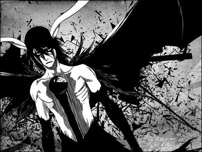 Pin by Торя Топ on Улькиорра/ulquiorra ❤️❤️❤️ | Bleach anime, Bleach  characters, Anime