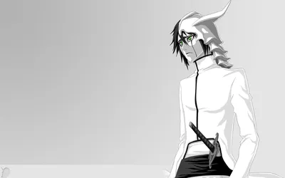 Pin by Letalis Die on Улькиорра Шиффер | Bleach characters, Bleach anime,  Bleach anime ichigo