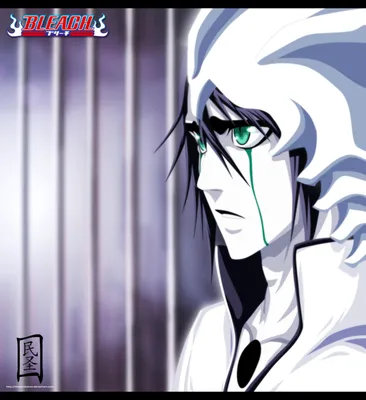 Улькиорра Шиффер | Wiki | 🔸Bleach[Rus]🔸 Amino