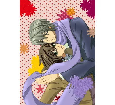 Светильник аниме Чистая романтика Junjou Romantica яой №946228 - купить в  Украине на Crafta.ua