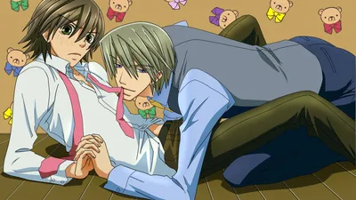 Чистая романтика / Junjou Romantica (2008): рейтинг и даты выхода серий