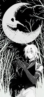 D.Gray-man (Ди Грей-мен) | Аллен уолкер, Аниме, Кросс