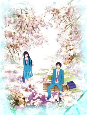 Pin by Karem Stephanie Vela on anime timi ni todoke | Kimi ni todoke,  Shoujo manga, Manga romance