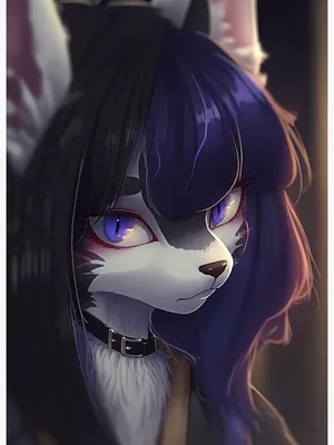 Pin by Hugo on affär | Furry drawing, Anthro furry, Anime furry