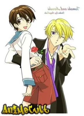 Аниме сериал Клуб свиданий старшей школы Оран | Ouran High School Host Club  | Ouran Koukou Host Club