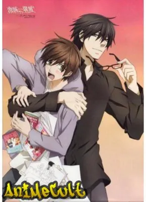 Аниме Лучшая в мире первая любовь [ТВ-1] | Sekaiichi Hatsukoi TV онлайн