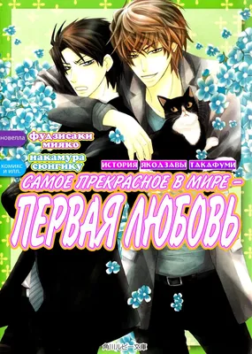 Sekaiichi Hatsukoi: Yokozawa Takafumi no Baai / Лучшая в мире первая любовь:  История Ёкодзавы Такафуми (Глава: 1_1 (6_4) / Страница: 2) | История, Манга,  Любовь