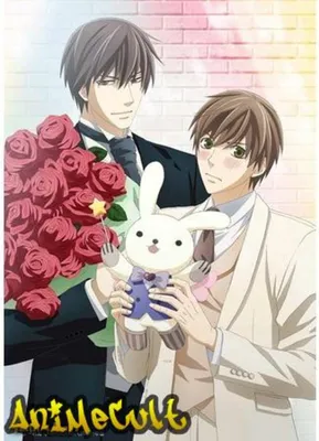 Аниме фильм Лучшая в мире первая любовь: Предложение | Sekaiichi Hatsukoi:  Propose-hen |