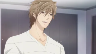 Отзывы / Sekaiichi Hatsukoi / Аниме