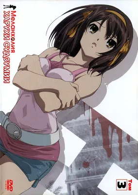 Меланхолия Харухи Судзумии-тян / Suzumiya Haruhi-chan no Yuuutsu - «Для  хардкорных фанатов Харухи Судзумии!» | отзывы