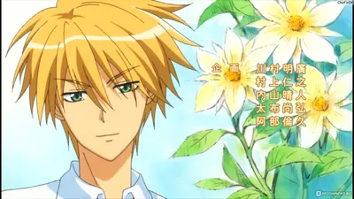 Президент - горничная / Kaichou wa Maid-sama - Страница 8 - Аниме -  обсуждение - BioWare Russian Community