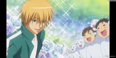 Президент Студсовета - Горничная! / Kaichou wa Maid-sama! - «Сильная  женщина ≠ адский зверь!» | отзывы