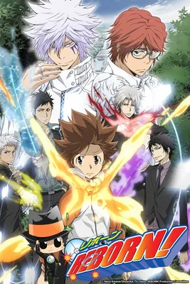 Katekyo Hitman Reborn (Anime) | Japanese Anime Wiki | Fandom