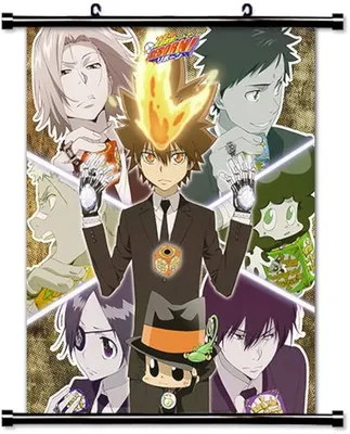 Katekyo Hitman Reborn! Anime Fabric Wall Scroll Poster (16\" X 20\") Inches :  Amazon.ca: Home