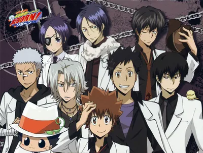 Anime/Manga Review: Katekyo Hitman Reborn | Ani-manga Reviews