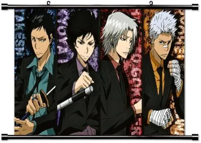 Katekyo Hitman Reborn Anime Fabric Wall Scroll Poster (32x43) Inches[ACT]-  Katekyo-831(L) : Amazon.ca: Home