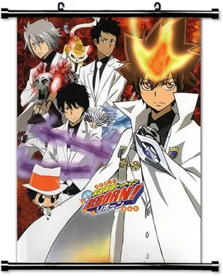 Katekyo Hitman Reborn! Anime Fabric Wall Scroll Poster (32\" X 42\") Inches :  Amazon.ca: Home