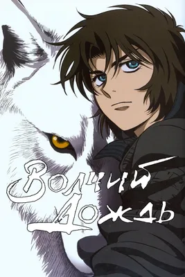 Картинки по запросу волчий дождь чеза арт | Wolf's rain, Anime wolf, Rain  art