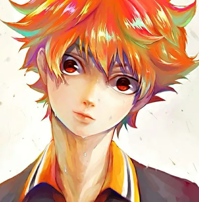 Фото Hinata Shouyou / Хината Шое из аниме Haikyuu! / Волейбол, middle  blocker, art by Haruichi Furudate