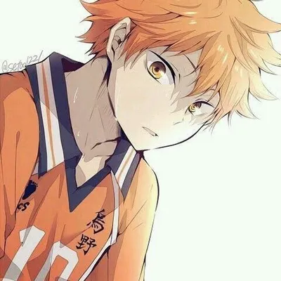 Хината Шоё | Wiki | Волейбол!!/Haikyuu!! [RUS] Amino