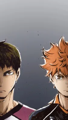 Постер плакат аниме Волейбол Haikyuu 42х29 см А3 (poster_0238)  (ID#1358911592), цена: 160 ₴, купить на Prom.ua