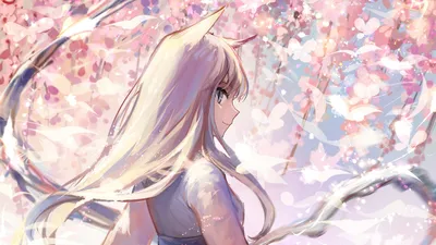 Anime - Wallpapers