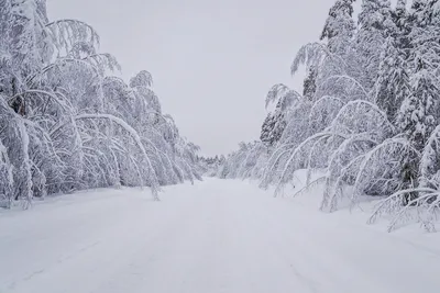 Фотографии месяца. Январь 2018