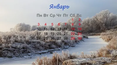 Календарь январь 2022 обои на телефон, сторис | Обои, Календарь, Обои для  телефона