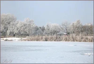 картинки : пейзаж, дерево, природа, лес, филиал, снег, зима, мороз, Погода,  Рождество, время года, метель, Декабрь, естественная среда, Февраль, Январь,  Замораживание, окружающая среда, зимняя буря 1920x1260 - - 1138529 -  красивые картинки - PxHere