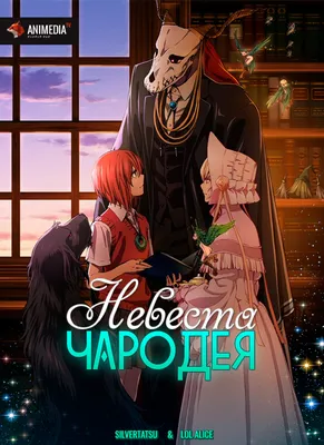 Постер аниме Невеста чародея | Ancient magus bride, Anime, Anime shows